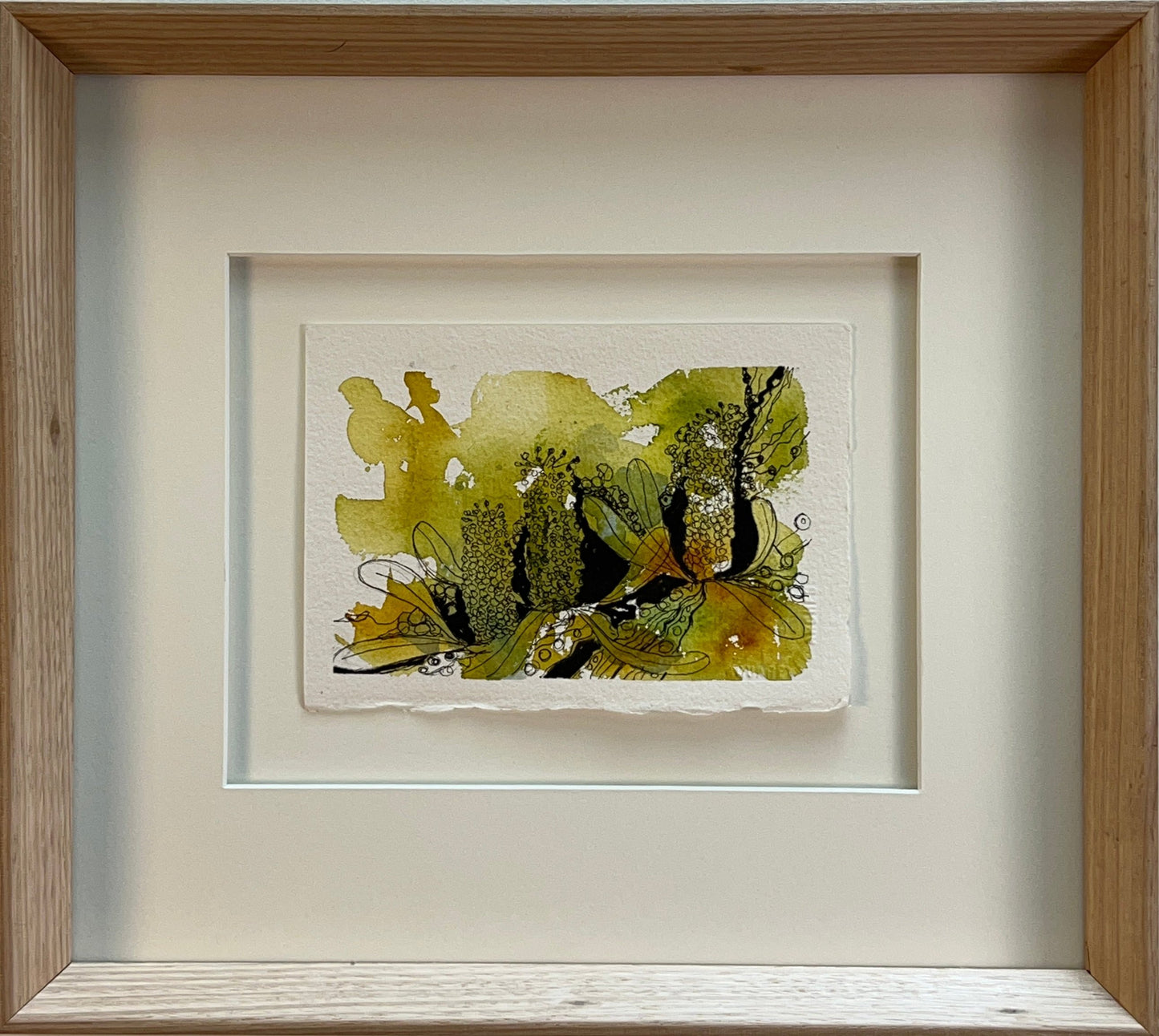 Coastal Banksia 1