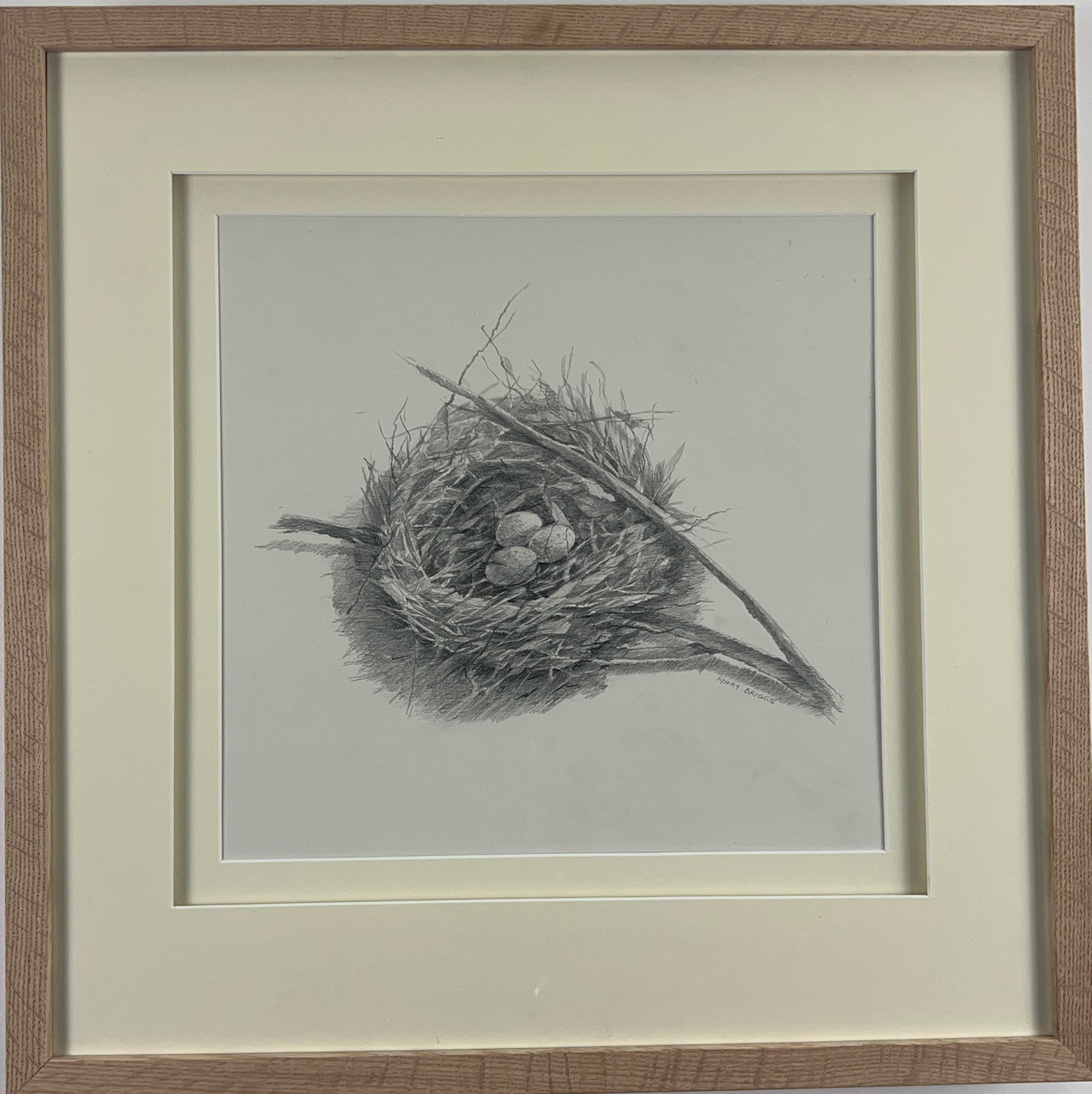 Nest