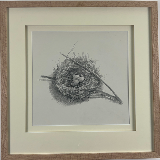 Nest